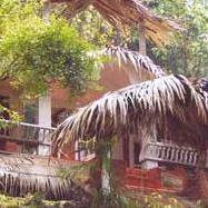 Green Magic Nature Resort, Wayanad 3